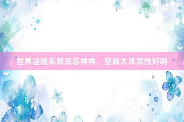 世界途锐车到底怎样样，空间大风景性好吗