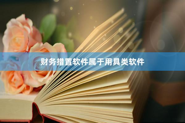 财务措置软件属于用具类软件