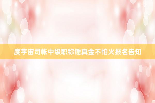 度宇宙司帐中级职称锤真金不怕火报名告知